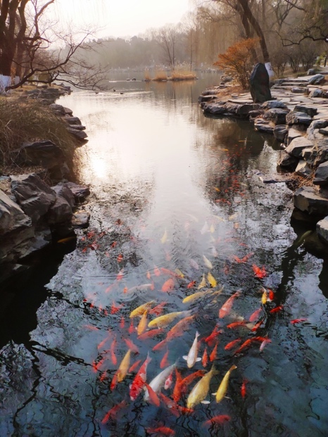 K8官网 - 天生赢家·一触即发