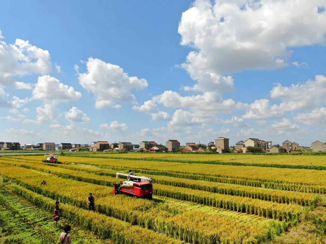 唐遥：：：面向未来怎样建设多维度多样化的墟落振兴评价系统？？？