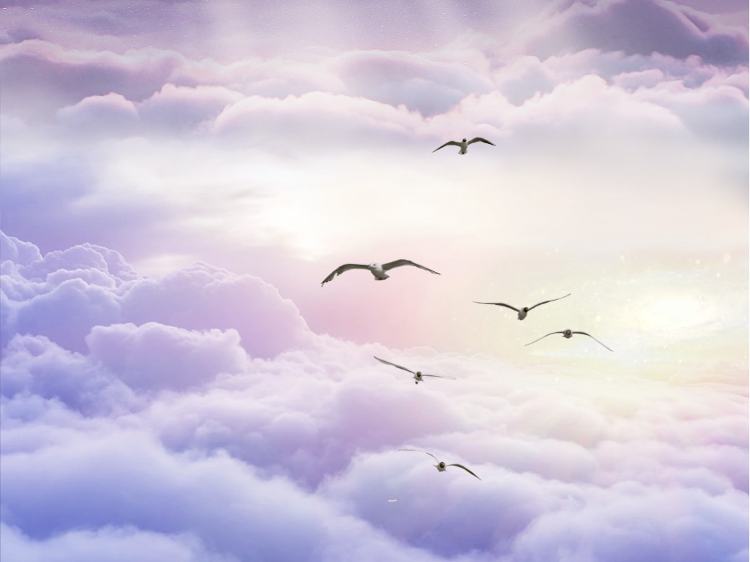 K8官网 - 天生赢家·一触即发