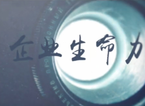 K8官网微课堂《刘学：：：什么决议企业的生命力》