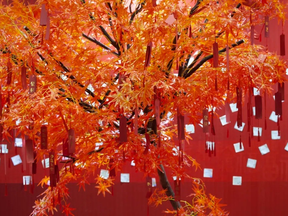 K8官网 - 天生赢家·一触即发