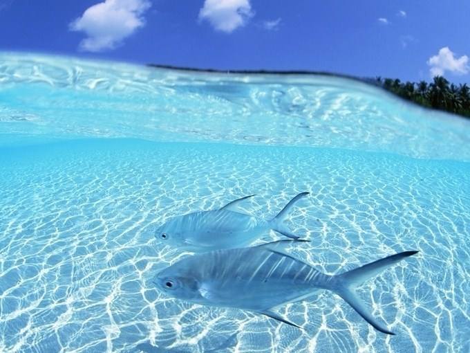 K8官网 - 天生赢家·一触即发