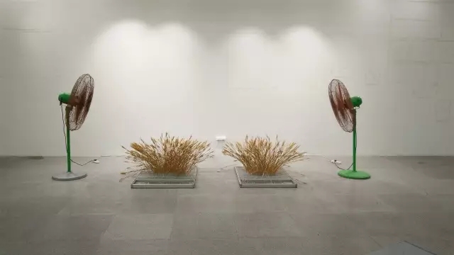 K8官网 - 天生赢家·一触即发