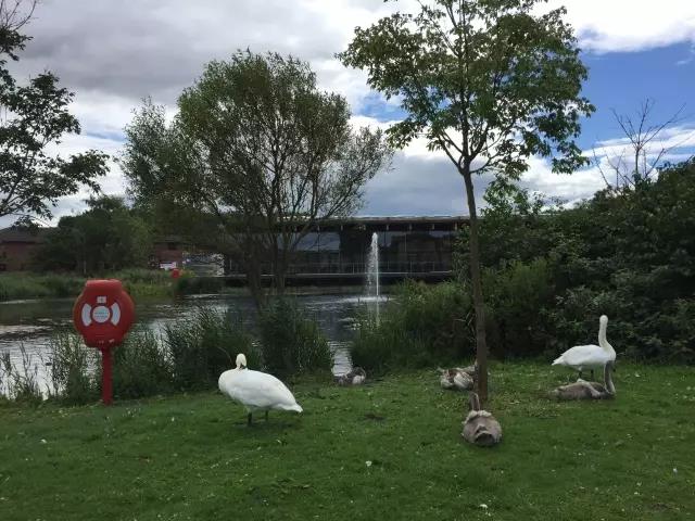 K8官网 - 天生赢家·一触即发