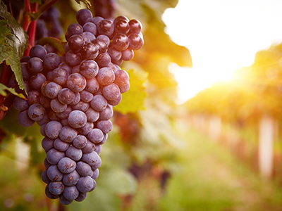 K8官网 - 天生赢家·一触即发