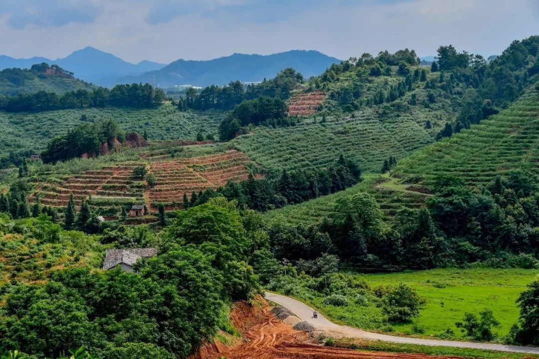 K8���� - ����Ӯ�ҡ�һ������