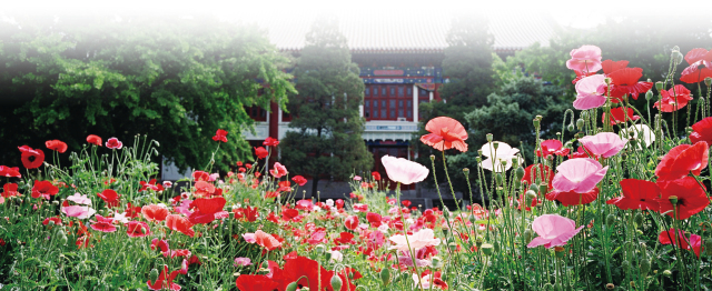 K8官网 - 天生赢家·一触即发