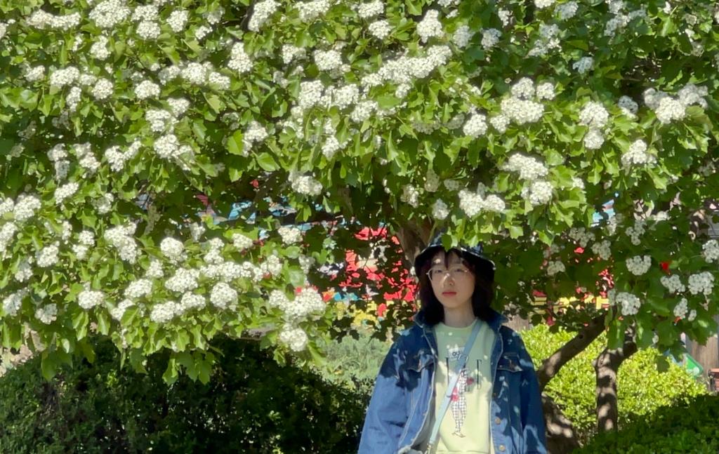 K8���� - ����Ӯ�ҡ�һ������