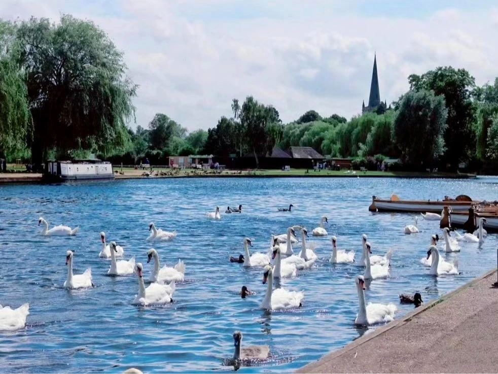 从莎翁文学浅析治理向导艺术丨MBA国际商务方略@英国华威大学