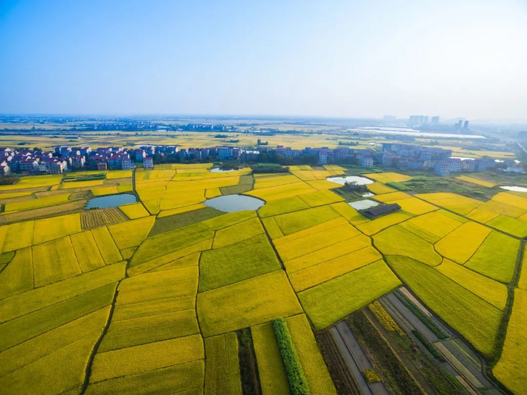 王辉：有“人气儿”，经济才有活力