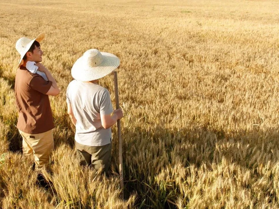 K8官网 - 天生赢家·一触即发