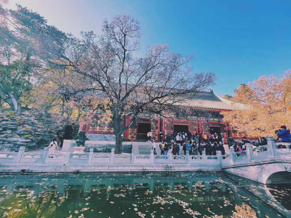 05457C19A54491525B04EB87AFA_A54C4B12_2714C