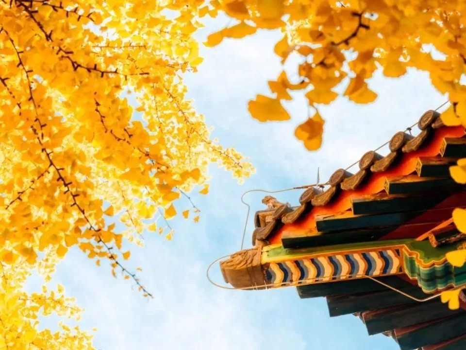 K8官网 - 天生赢家·一触即发