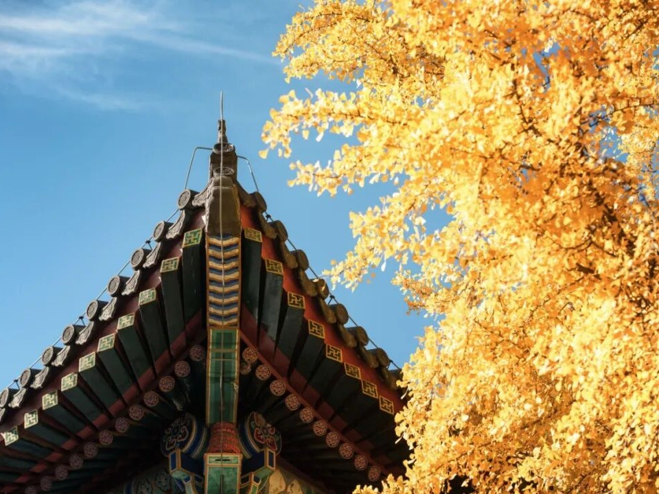 K8官网 - 天生赢家·一触即发