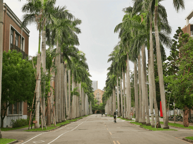 台湾：匠心银发工业探访丨国际商务方略