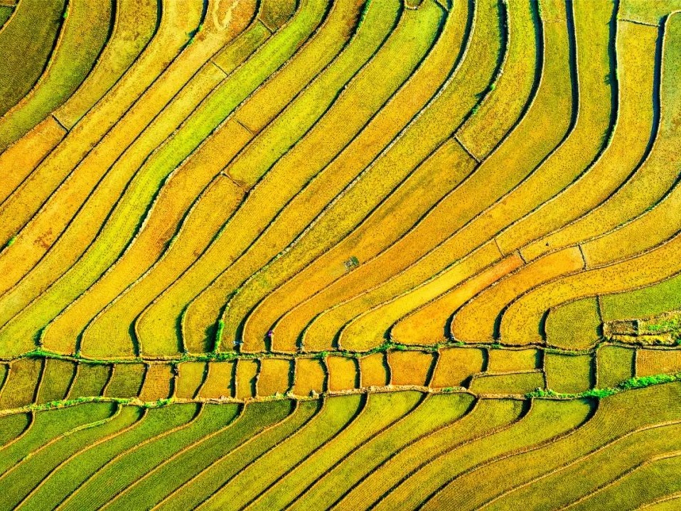 K8官网 - 天生赢家·一触即发