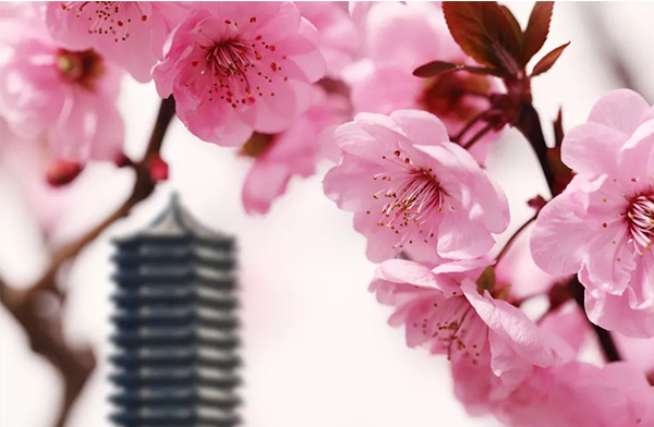 K8官网 - 天生赢家·一触即发