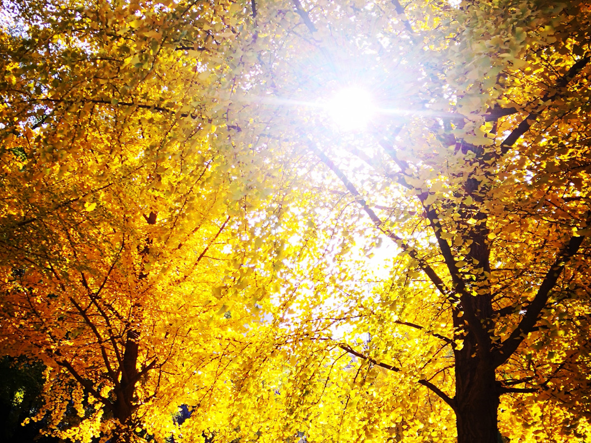  MPAcc分享会干货满满 | 尊重经济实质，，，回归会计初志 