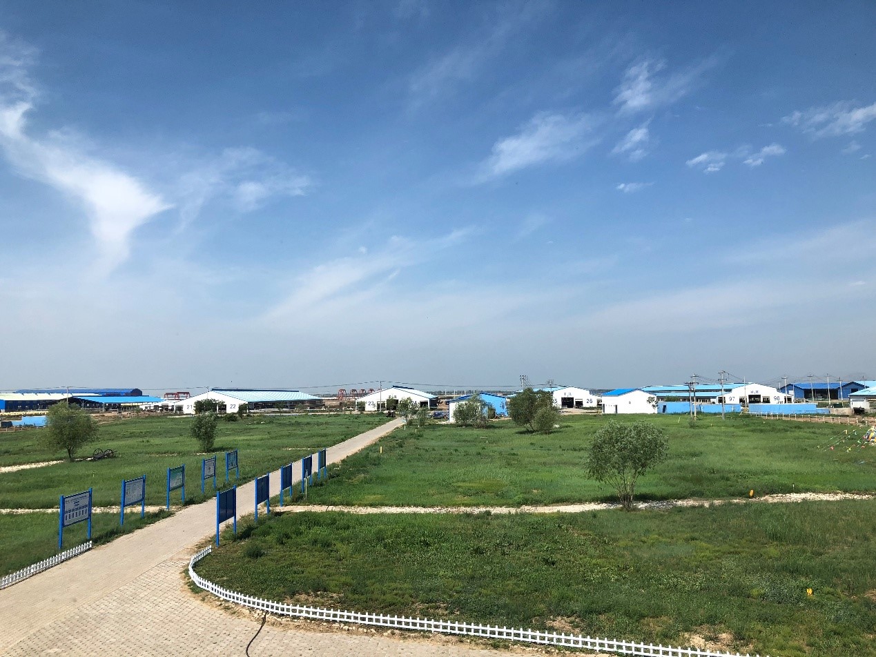 46932CADDCBB0452246E2527AA6_56A99BB1_4D763