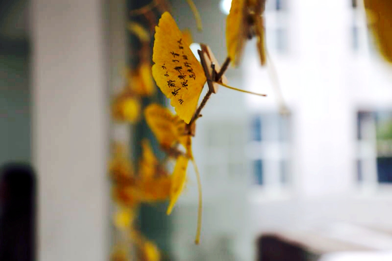 K8官网 - 天生赢家·一触即发