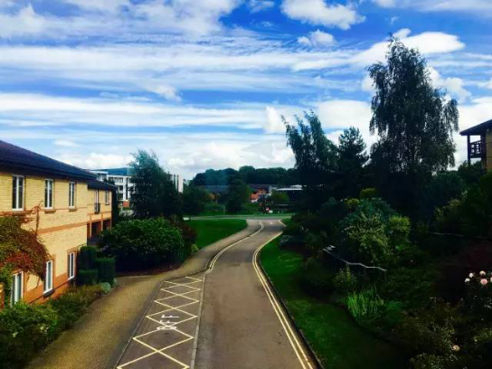 手艺是修行，，品牌是沉淀?