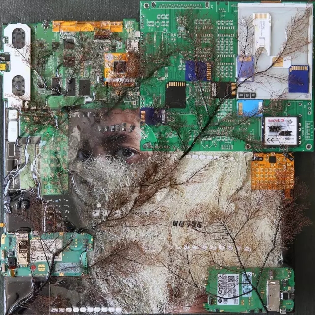 K8官网 - 天生赢家·一触即发