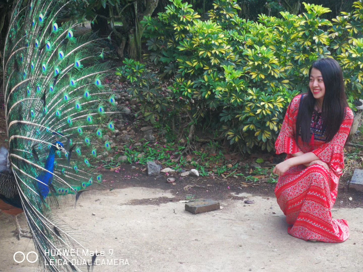 0411C5F18A0DD74427853517AE5_D4581F9F_8055C