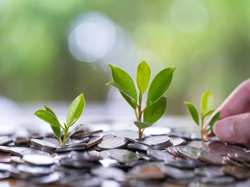 K8官网 - 天生赢家·一触即发