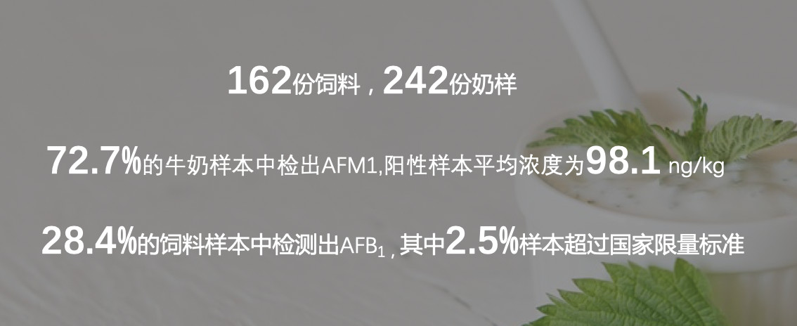 06ECD8B5BB42E11F88675F216A0_D25E01AB_10582