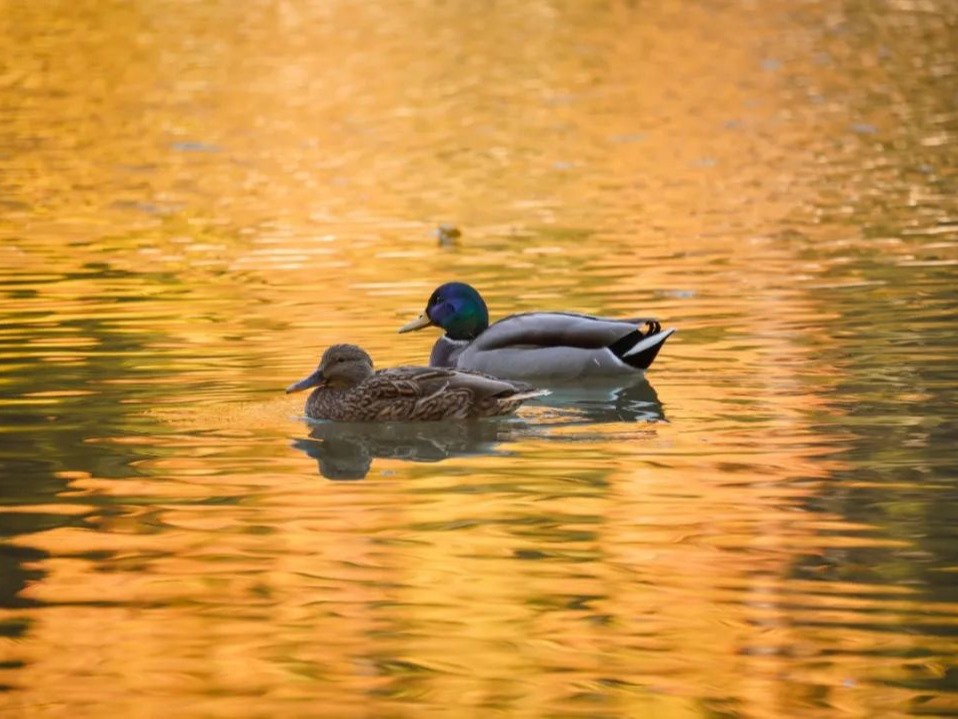 K8官网 - 天生赢家·一触即发