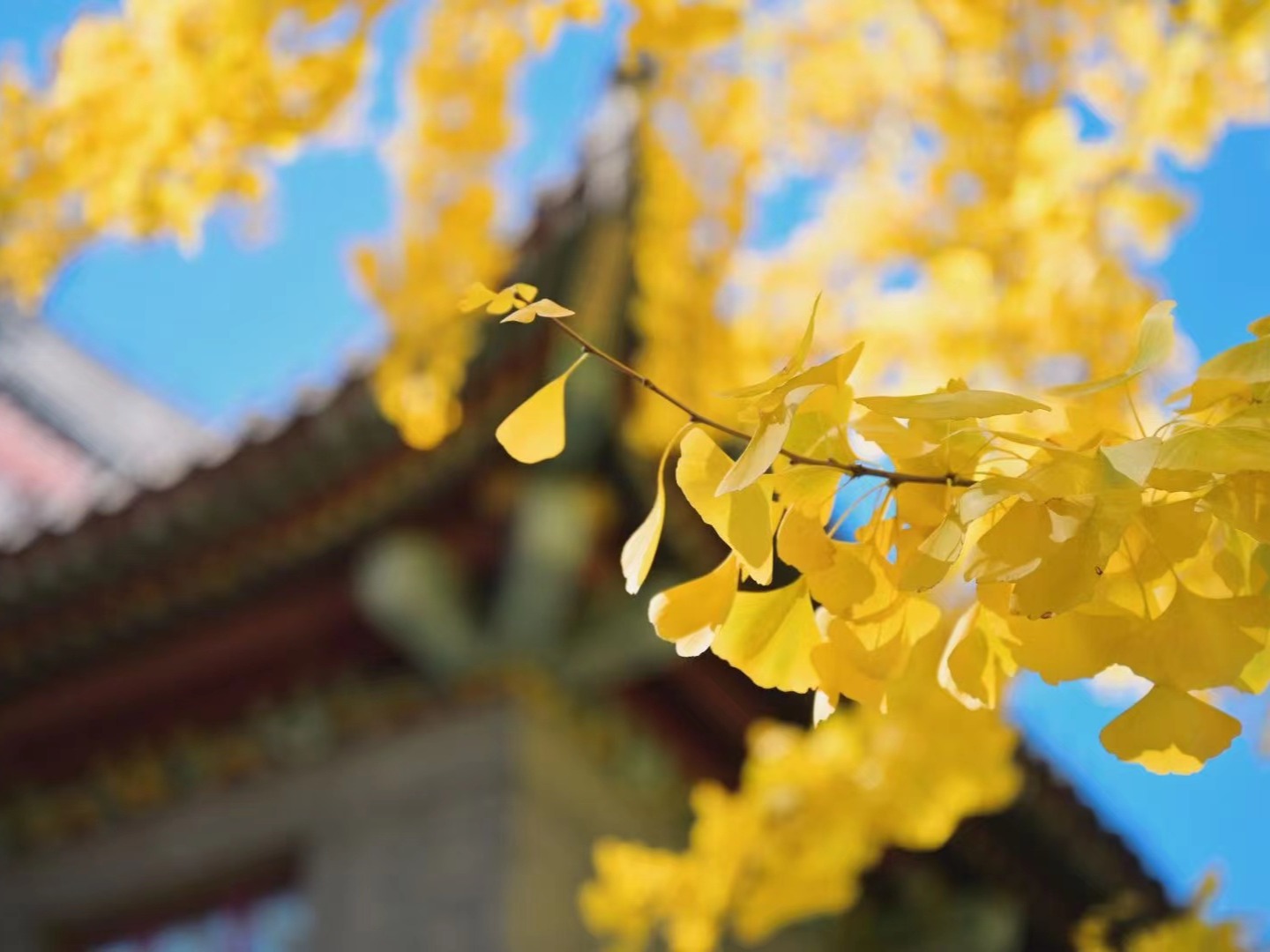 K8官网 - 天生赢家·一触即发