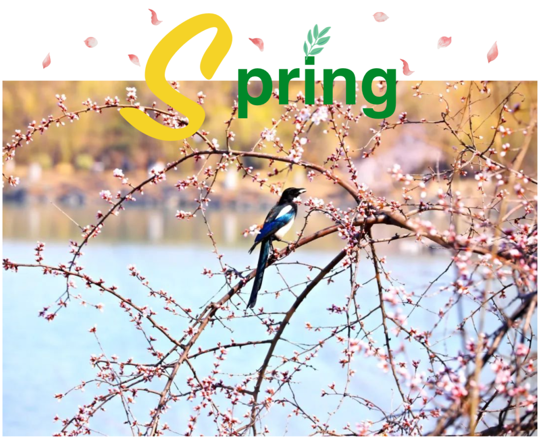 北大春日限制！带你一起寻找“因、、、思、、、想、、、而、、、光、、、华！”