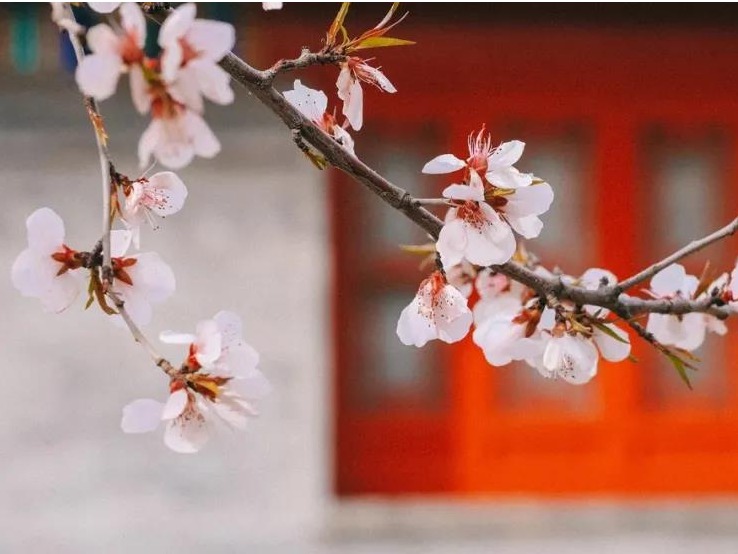 K8官网 - 天生赢家·一触即发