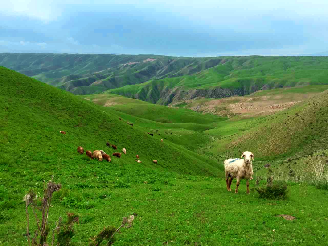 K8官网 - 天生赢家·一触即发