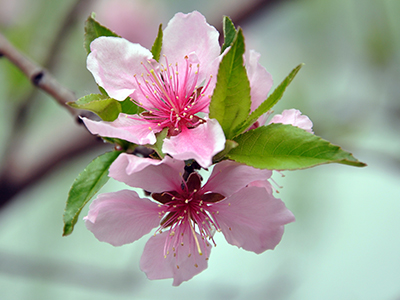 K8官网 - 天生赢家·一触即发