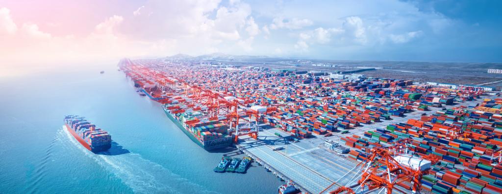 唐 遥：：全球供应链和价值链会疫后重组吗？