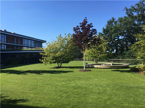 K8官网 - 天生赢家·一触即发