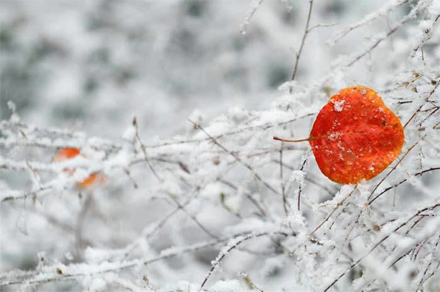 K8官网 - 天生赢家·一触即发