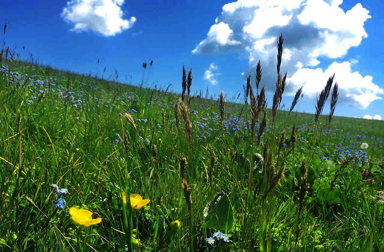 K8官网 - 天生赢家·一触即发