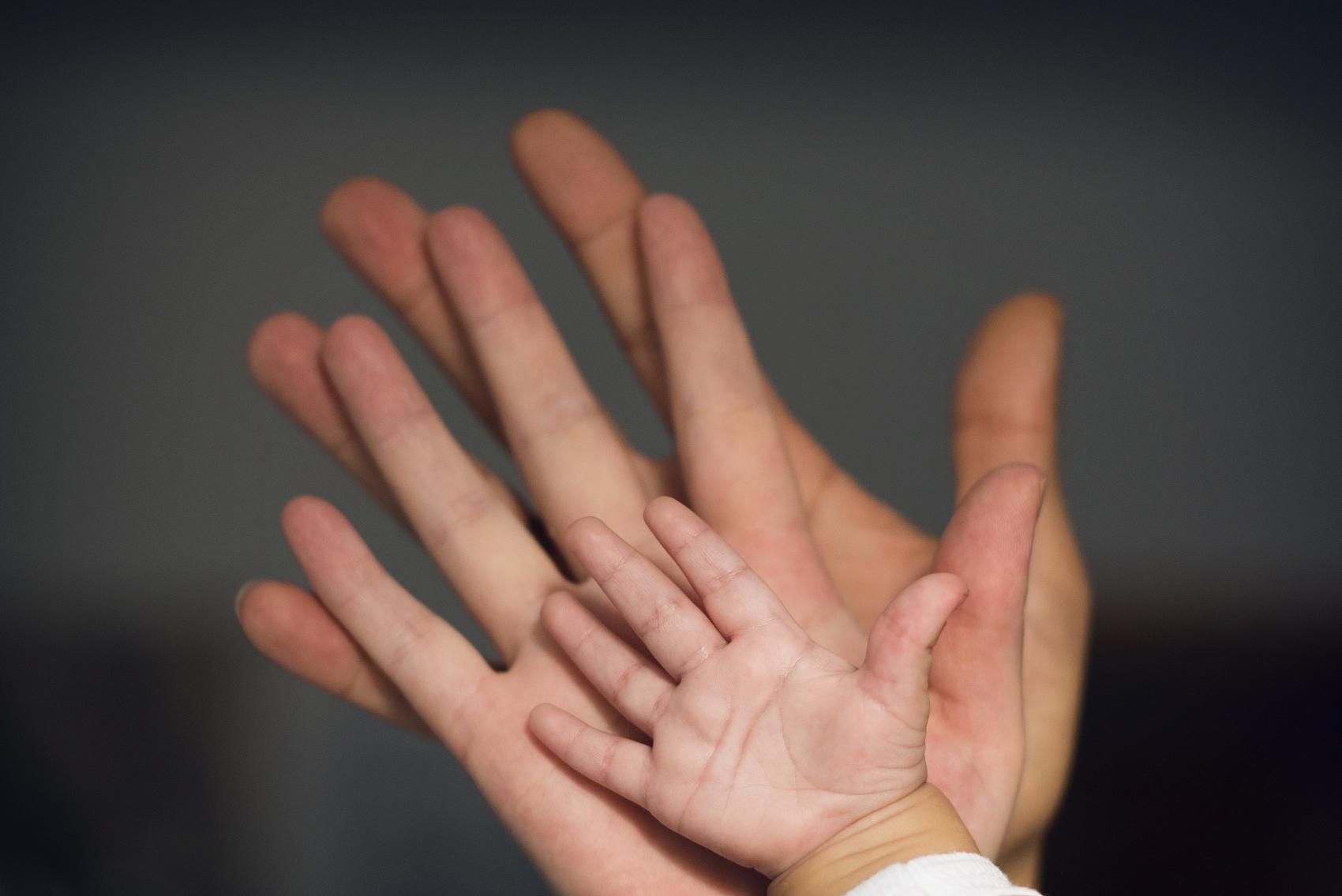 956ABDC4D1B57F16BDE652A83F3_CD735B79_14DE54