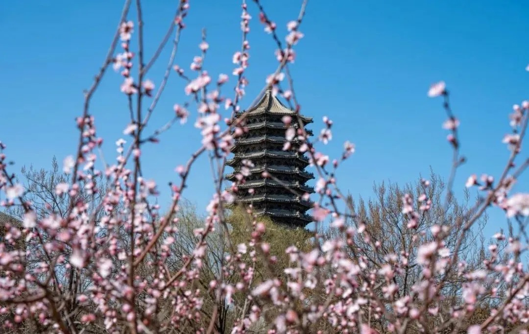 K8官网 - 天生赢家·一触即发