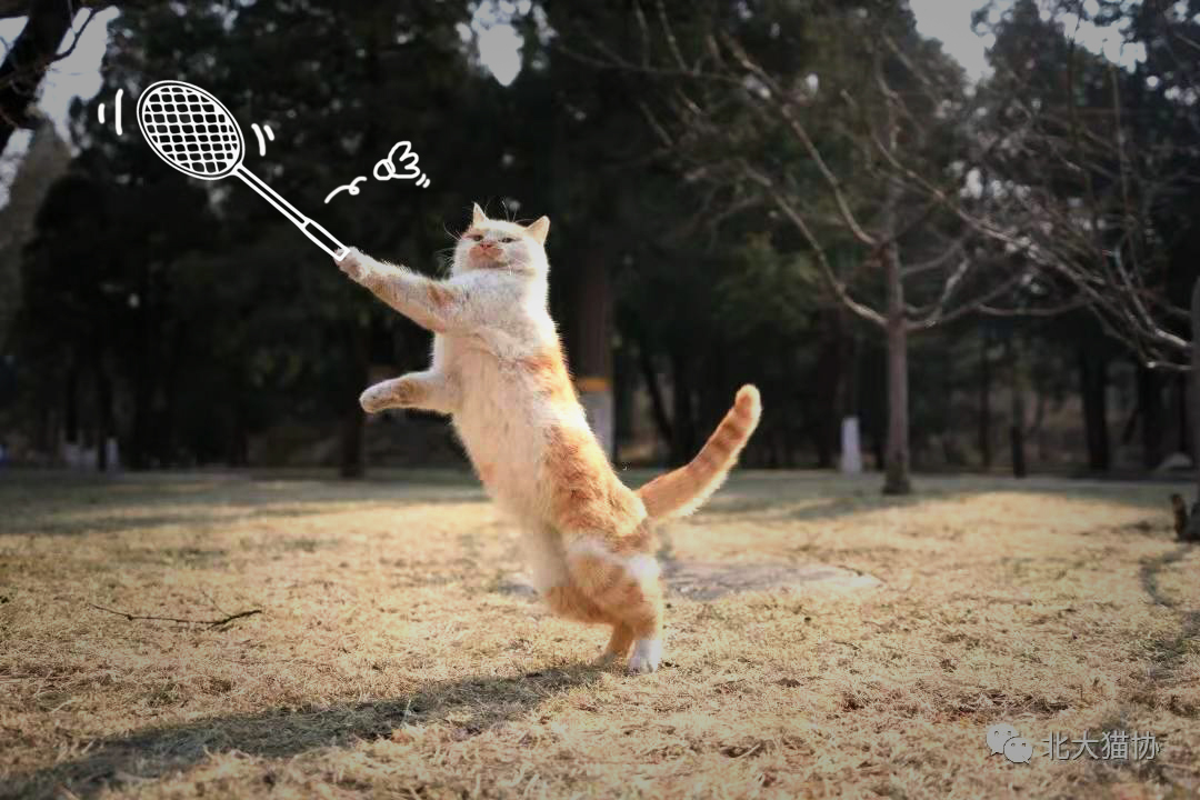 8CB6E018CE50F00CB9C6127DEC4_E669101B_6B9D6