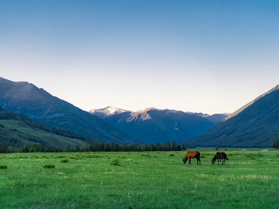 K8官网 - 天生赢家·一触即发