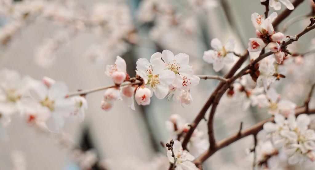 K8官网 - 天生赢家·一触即发