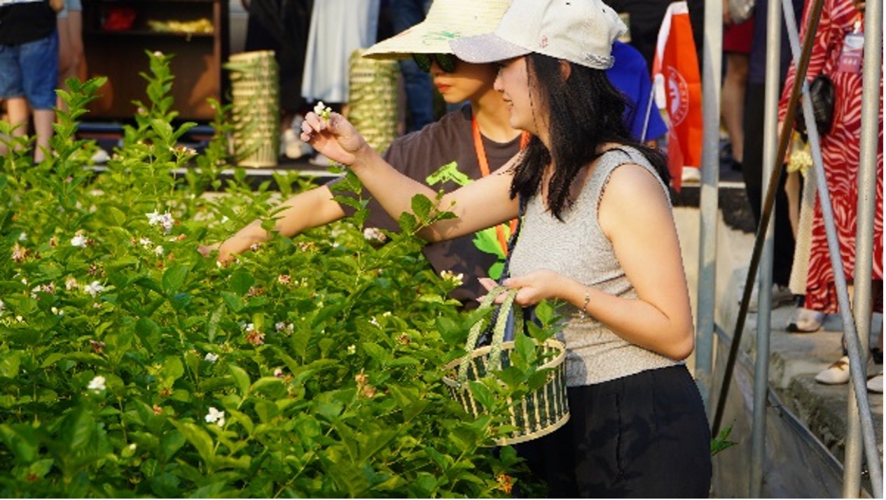 02997D95916E7D8F31DA24ABD85_0F1FA8BC_3F440