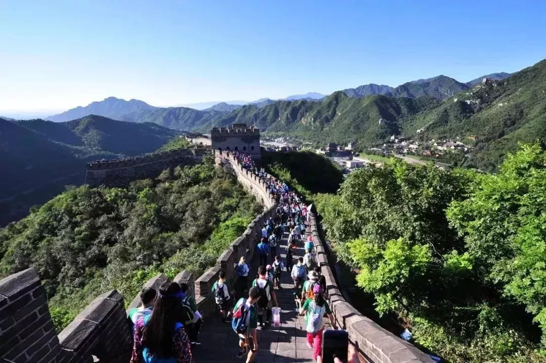 D5F8D223A26832618020274DC11_AF36241D_41D45