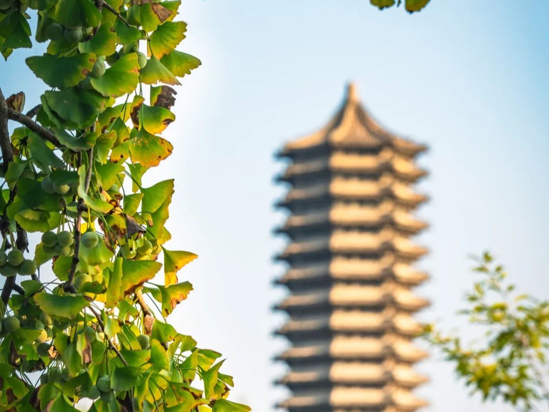 K8官网 - 天生赢家·一触即发