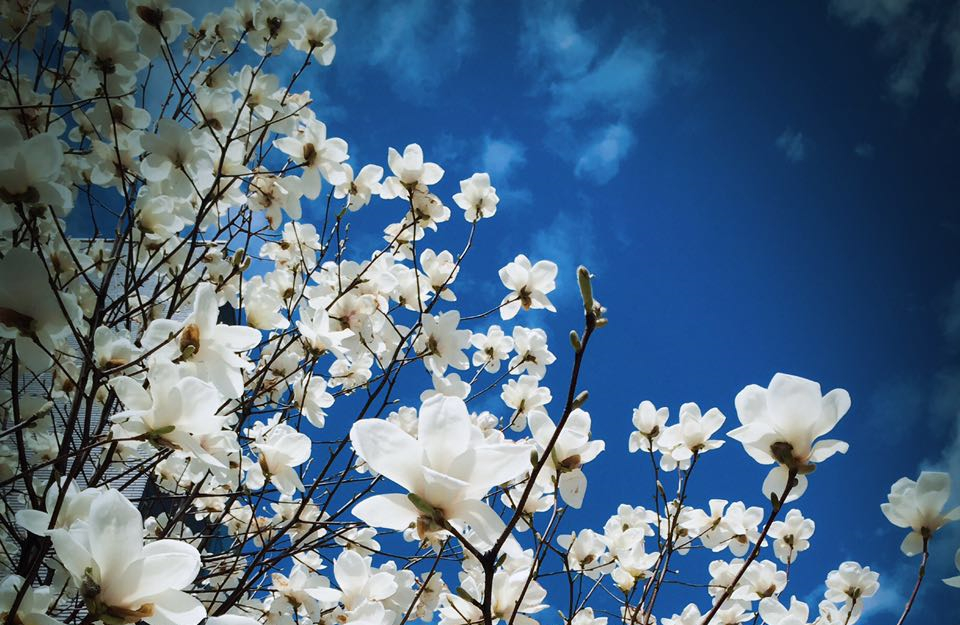 K8官网 - 天生赢家·一触即发