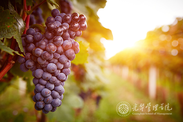 K8官网 - 天生赢家·一触即发