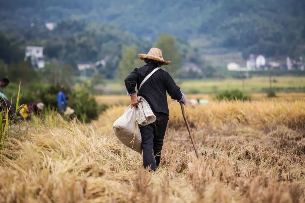 雷 明：人类历史上最伟大的故事之一，，，我们该怎样讲述？